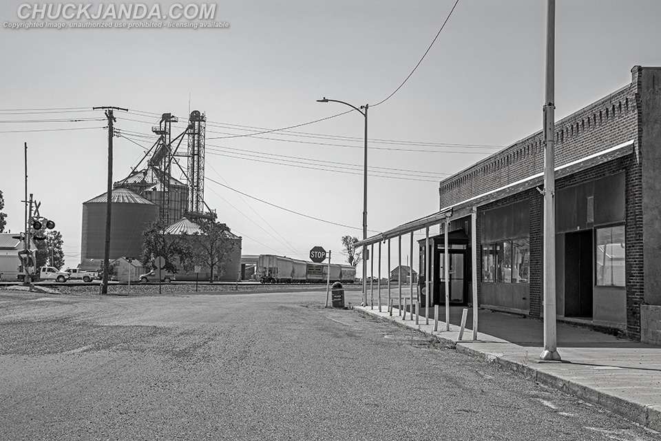 Forgottonia Illinois Downtown Grain