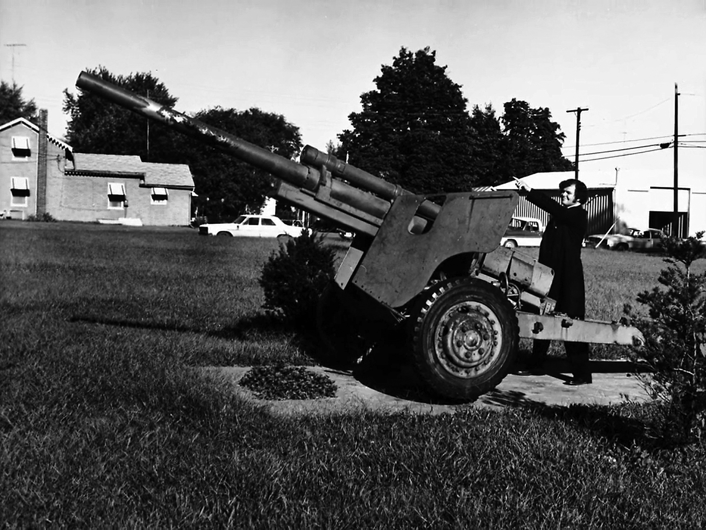 Forgottonia Army Cannon